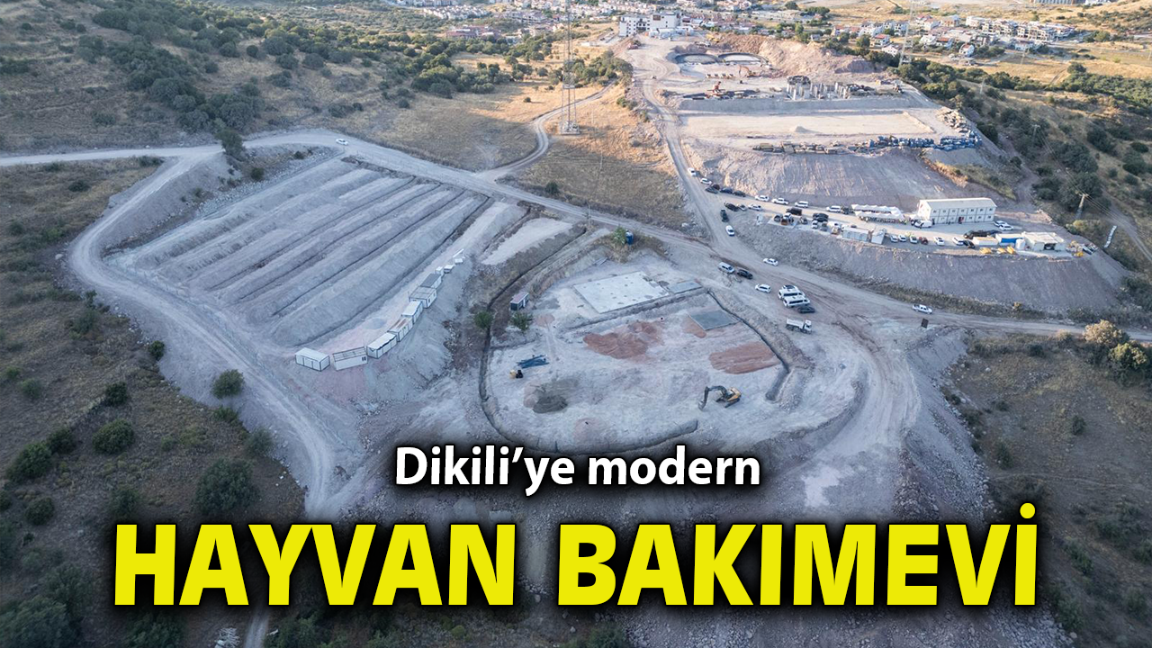 Dikili’ye modern hayvan bakımevi